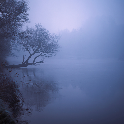 Mystic River
